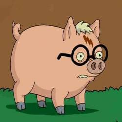 puerco araña